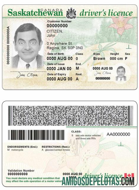 Carteira de motorista da província do Canadá Saskatchewan modelo